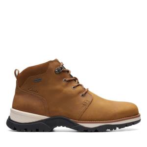 Botines Clarks Topton Mid GORE-TEX Hombre Marrones | CLK390VPX