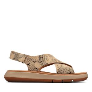 Sandalias Clarks Jemsa Cross Mujer Gris Marrones Serpent | CLK073UWP