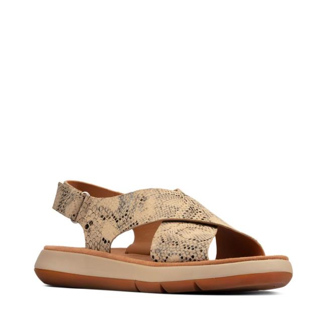 Sandalias Clarks Jemsa Cross Mujer Gris Marrones Serpent | CLK073UWP