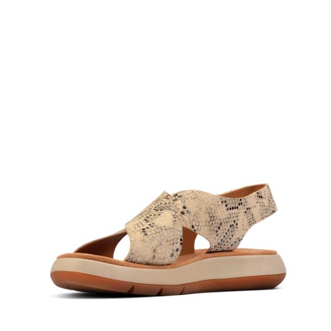 Sandalias Clarks Jemsa Cross Mujer Gris Marrones Serpent | CLK073UWP