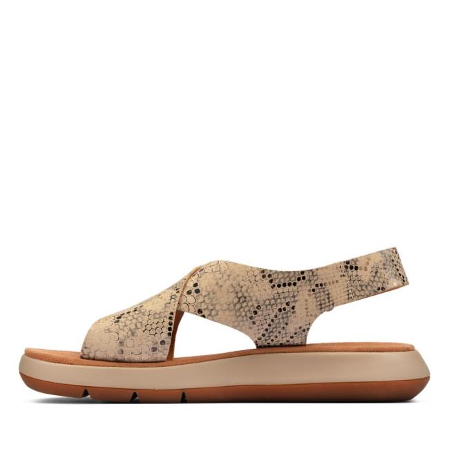 Sandalias Clarks Jemsa Cross Mujer Gris Marrones Serpent | CLK073UWP